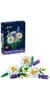 Конструктор LEGO Botanicals Ромашки 133 Деталі (11508)