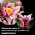 Конструктор LEGO® Botanicals Гілки магнолії 435 Деталей  (11510)