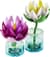 Конструктор LEGO® Botanicals Латаття Квітковий набір для конструювання, 259 деталей (11511)