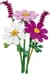 Конструктор LEGO® Botanicals Цветы космеи Набор для коструйки, 171 деталь (11514)