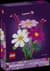 Конструктор LEGO® Botanicals Цветы космеи Набор для коструйки, 171 деталь (11514)