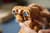 Конструктор LEGO® Ideas E.T. the Extra-Terrestrial Конструктор (21370)