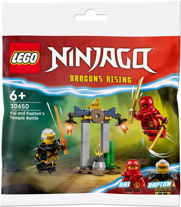 Конструктор LEGO NINJAGO Битва за Храм Кая і Раптона 47 деталей (30650)