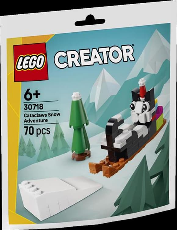 Конструктор LEGO® Конструктор Снежное приключение Cataclaws, 70 деталей (30718)