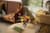 Конструктор LEGO Botanicals Соняшники 191 деталь (40524)