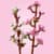 Конструктор LEGO Botanicals Цвіт вишні 430 деталей (40725)