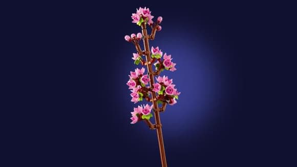 Конструктор LEGO Botanicals Цвіт вишні 430 деталей (40725)