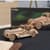 Деревянный механический 3D конструктор Ugears Спорткар Проворная мышь (70202)