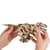 Деревянный механический 3D конструктор Ugears Тиранозавр (70203)