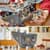 Конструктор Внепланетный песчаный краулер и грязерог LEGO® Star Wars™ (75453)