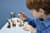 Конструктор LEGO® ONE PIECE Схованка лікаря Гірілука і Мініфігурки (75641)