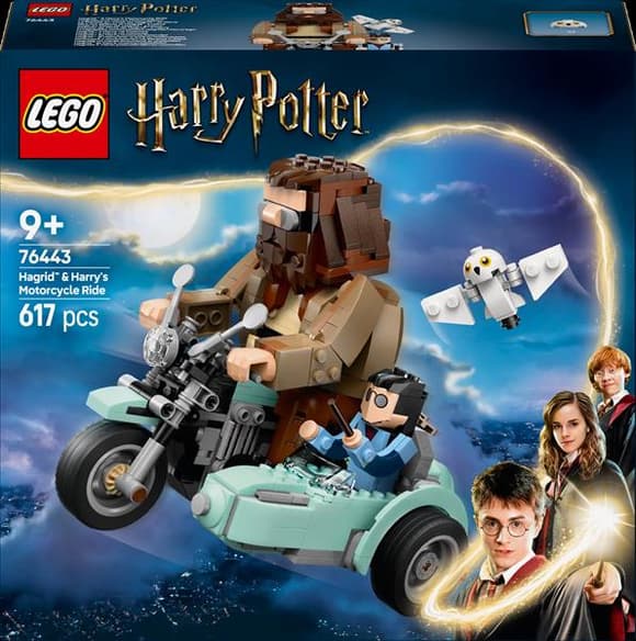 Конструктор LEGO Harry Potter Поїздка Геґріда й Гаррі на мотоциклі 617 деталей (76443)