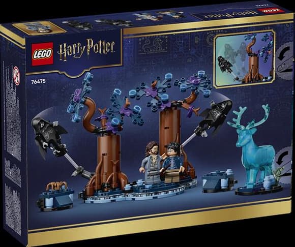 Конструктор LEGO® Harry Potter™ Заборонений ліс: Експекто патронум , 244 деталі (76475)