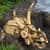 Конструктор LEGO® Jurassic World Скам'янілості динозаврів: череп трицератопса, 468 деталей (76969)