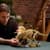 Конструктор LEGO® Jurassic World Скам'янілості динозаврів: трицератопс, 1154 деталей (77985)