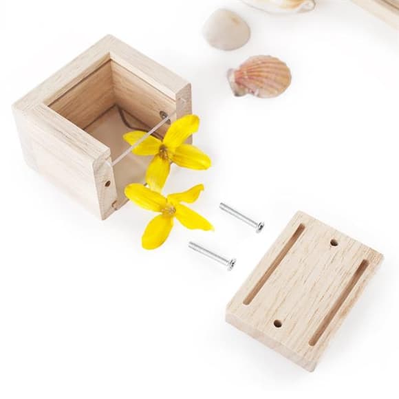 Набор Guidecraft Natural Play Сокровища в прозрачных ящиках (G3084)
