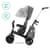 Трехколесный велосипед Kinderkraft Easytwist серый (KKRETWIGRY0000)