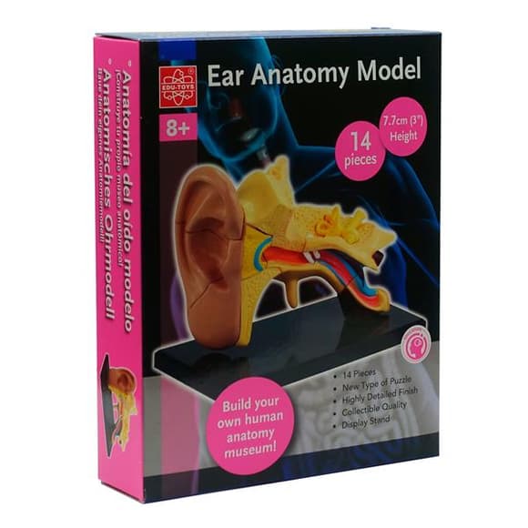 Модель анатомия уха Edu-Toys сборная 7,7 см (SK012)